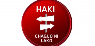 Haki 2 Logo